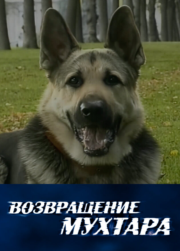Возвращение Мухтара — эротические сцены